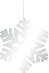 snow flake